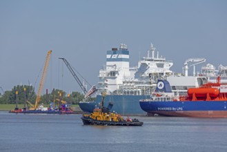 Ships, tugs, cranes, harbour, Elbe, Brunsbüttel, Schleswig-Holstein, Germany, Europe