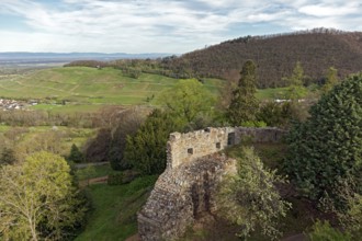 Baden Castle, view of the Markgräflerland and Vosges Mountains, Badenweiler, Black Forest,