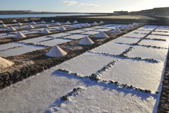 Salt extraction in the largest salt works on the Canary Islands Las Salinas de Janubio, El Golfo,