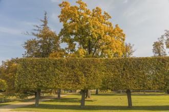 Gardenscene. Castle Jaromerice nad Rokytnou is located in Jaromerice nad Rokytnou in Okres Trebic,