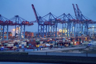 Container terminal Tollerort, container ships are loaded and unloaded, one of 4 container terminals