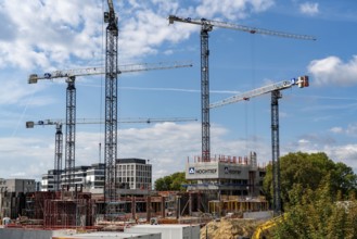 Construction cranes on two large construction sites, construction of office buildings in