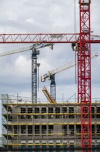 Construction cranes on two large construction sites, construction of office buildings in