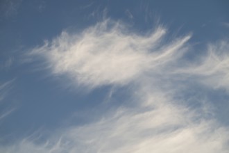 Cirrus clouds, blue sky