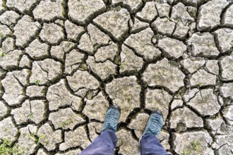 Dry ground, cracked, dried-up riverbed, in a branch of the Rhine, near Duisburg