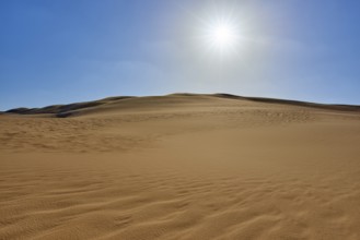 Sunny desert landscape with sand dunes under a clear blue sky, Matruh, Great Sand Sea, Libyan