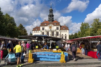 The old town centre of Lüneburg, central market square, town hall, with medieval gabled houses,