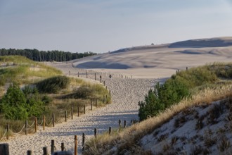 Beach access and dune landscape around the Lontz Dune, Wydma Lacka, the largest travelling dune on