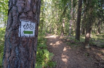 Cycling and hiking trail on the eastern shore of Lake Wigry in the Wigry National Park in northern