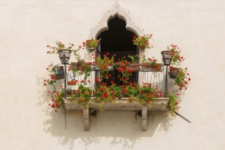 Historic balcony with red blooming flowers, decoration, architecture, village, well-kept,