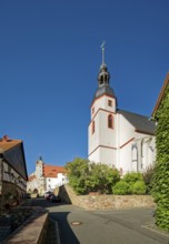 Town church St. Ägidien also St. Egidien, behind the castle Colditz, Colditz, Saxony, Germany,