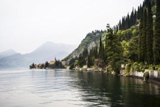 Park, spring, Villa Monastero, Varenna, Province of Lecco, Lombardy, Italy, Europe