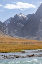 Rider in mountain landscape with yellow meadows, river Kol Suu and mountain peaks with glacier,