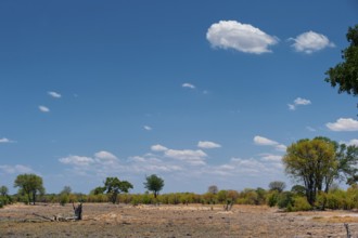 Dried out riverbed and landscape, drought, heat, dryness, climate change, global warming, panorama,