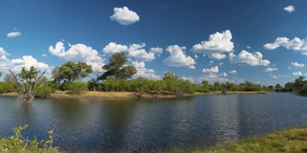 Savuti Channel which is sometimes dry for years, with dead trees in the water, climate, climate