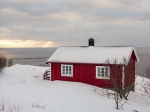 Snow-covered typical red wooden hut, sea in the background, Lofoten, Norway, Europe