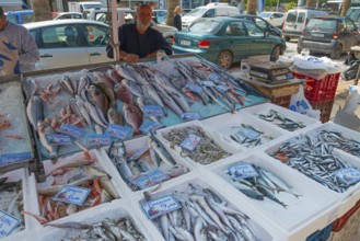 Fish market with various fish and seafood. Traders stand behind the crates and sell the goods,