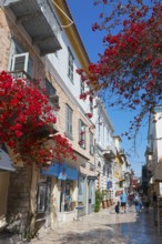 A picturesque, sunny alley with historic buildings and flowering red plants, Nafplio, Nauplia,