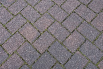 Pavement, background, texture, Münsterland, North Rhine-Westphalia, Germany, Europe