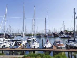 Sailing boats in the harbour of Hindeloopen, province of Friesland, Netherlands