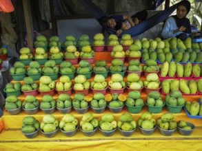 Mango (Mangifera indica) for sale at street market, Sulawesi, Indonesia, Asia