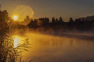 Autumnal morning atmosphere at Schmutter Weiher with fog near Lechbruck, Halblech and Roßhaupten in