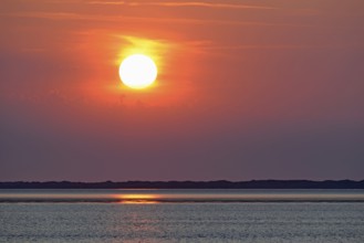 Sunset over the North Sea at low tide, the outline of the island of Juist on the horizon,