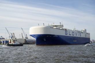 Pilot boat pulls Chinese ship Glovis into harbour, Glovis Solar, vehicle transporter, Elbe,