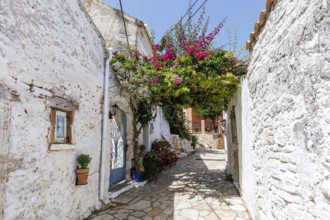 Alley decorated with flowers in the picturesque village of Afionas on the island of Corfu, Greece,