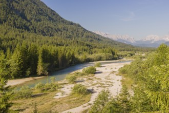 Isar valley nature conservancy area. The wild Isar river flows through its gravel bed past