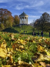 Autumn atmosphere in the English Garden, Monopteros, Munich, Bavaria, Germany, Europe