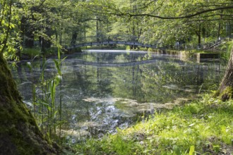 Bridge reflected in the water, Stadtpark Lichtenstein, Saxony, Germany, Europe