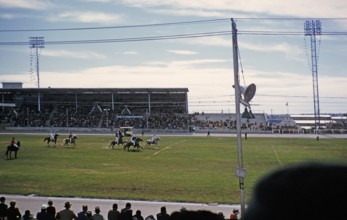 Polo equestrian match in a stadium, Melbourne, Victoria, Australia, 1956, Oceania