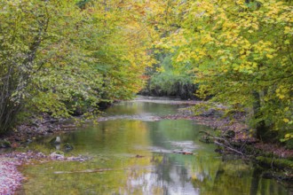 The Toplitz river begins at the western end of the Lake Toplitzsee as its only outflow. Its path