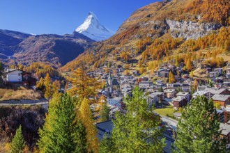 View of the village with Matterhorn 4478m and golden yellow larches in autumn, Zermatt, Mattertal,