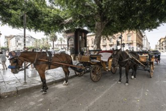 Horse-drawn carriages in the historic centre of Palermo, Sicily, Italy, Europe