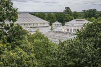 Treetops and Temperate House, largest Victorian glasshouse in the world, Royal Botanic Gardens (Kew