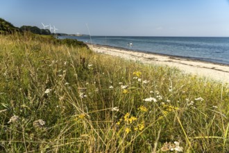 Sandy beach beach near Botofte, Langeland Island, Denmark, Europe