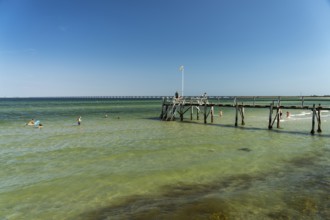 Jetty on the beach at Nyborg, Denmark, Europe