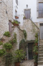 Idyllic alley with steps and lush plant decorations in terracotta pots, Cisternino, Apulia, Italy,