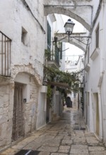 Enchanted historic alleyway with arches and whitewashed walls, decorated with plants, Cisternino,