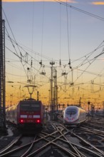 Track apron with trains, rails, points, pylons and signalling systems. Infrastructure at the main