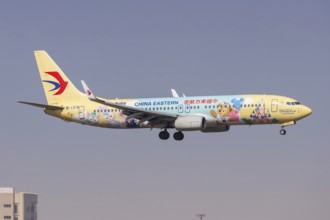 Duffy Friendship Express special livery at Pudong Airport (PVG) in Shanghai, a Boeing 737-800