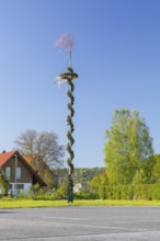 Maypole in Rathmannsdorf, Saxon Switzerland, Saxony, Germany, Europe