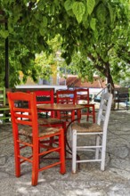 Terrace under trees, table and red chairs in front of a café, small town Leonidio, Tsakonia,