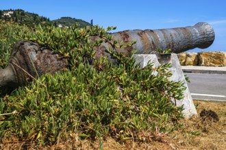 Old historic rusty cannons on the Long Pier in the Oneglia district of Imperia, Liguria, Italy,