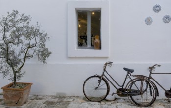 House facade with olive tree and broken bicycles, Apulia, Italy, Europe