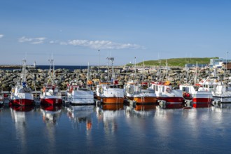 Fishing boats in the harbour of Vardø, Varanger, Finnmark, Norway, Europe