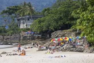 Sandy beach beach of Patong with palm trees. The beach stretches for around three kilometres along