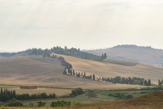 Typical Tuscan landscape in Crete Senesi with hills, trees, fields, cypresses and farm road in